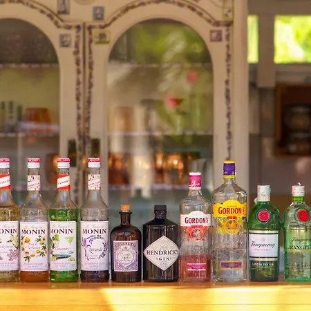 多姆斯马里蒂玛酒店 酒店 特罗吉尔