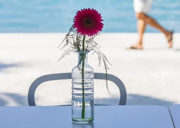 Domus Maritima Ξενοδοχείο Τρογκίρ