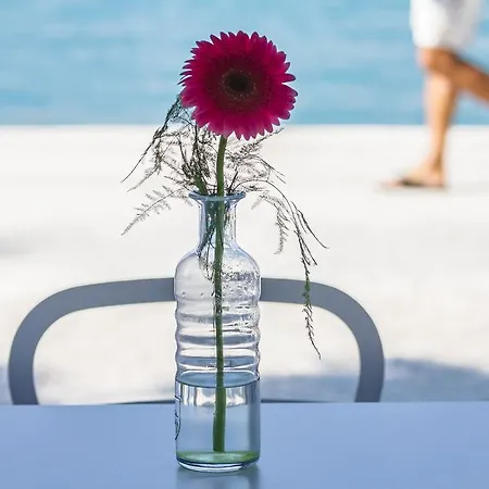 Domus Maritima Hotel Trogir